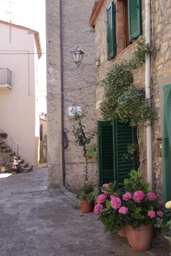 Antica Abitazione Con Vista Montagna Casa Norma Apartment Seggiano Exterior foto