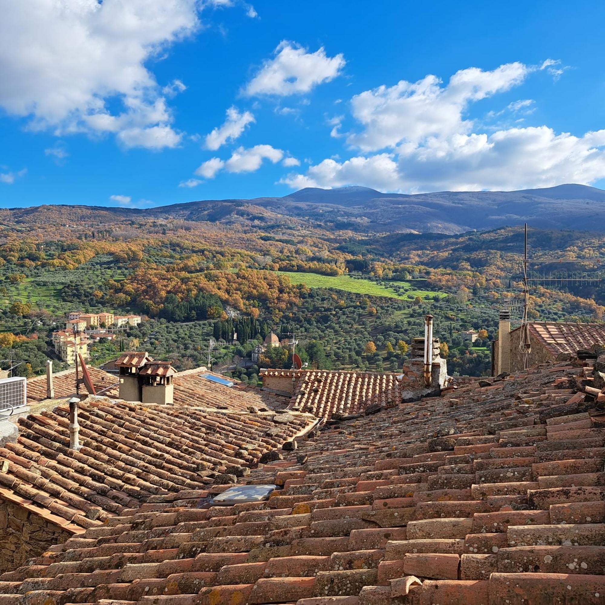 Antica Abitazione Con Vista Montagna Casa Norma Apartment Seggiano Exterior foto